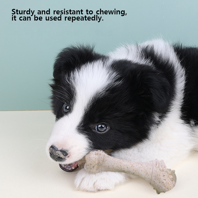 Teeth Cleaning Dog Chew Bone - ألعاب للحيوانات الأليفة، عظام للكلاب لتنظيف