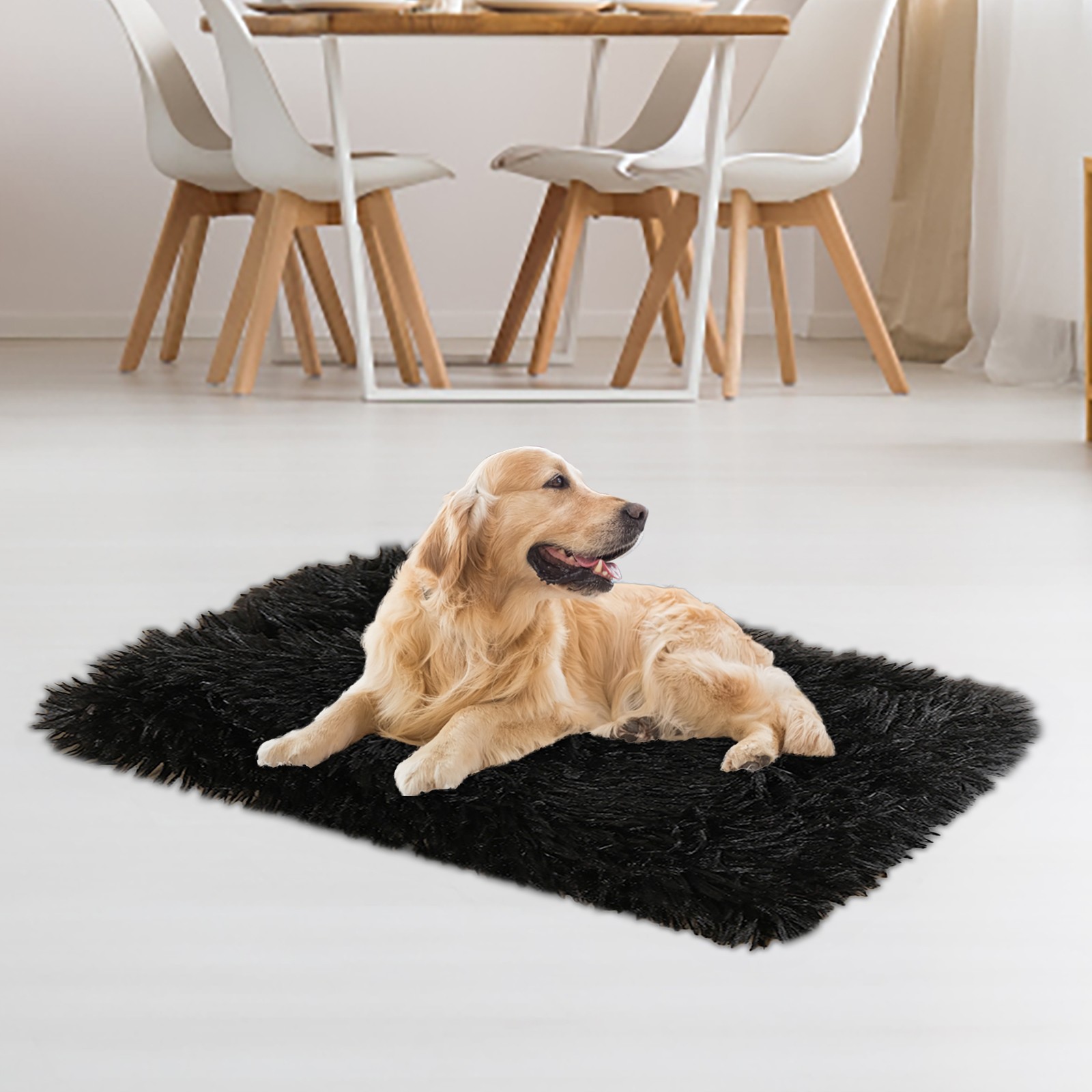 حصيرة ناعمة ورقيقة للحيوانات ا - مراجعة Pet Beds وسعره