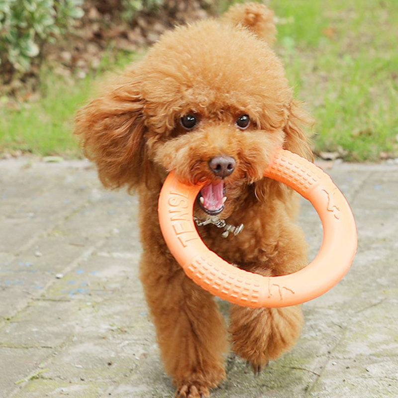 1 ، ألعاب كلاب برتقالية اللون  - مراجعة Indestructible Dog Chew Toy وسعره
