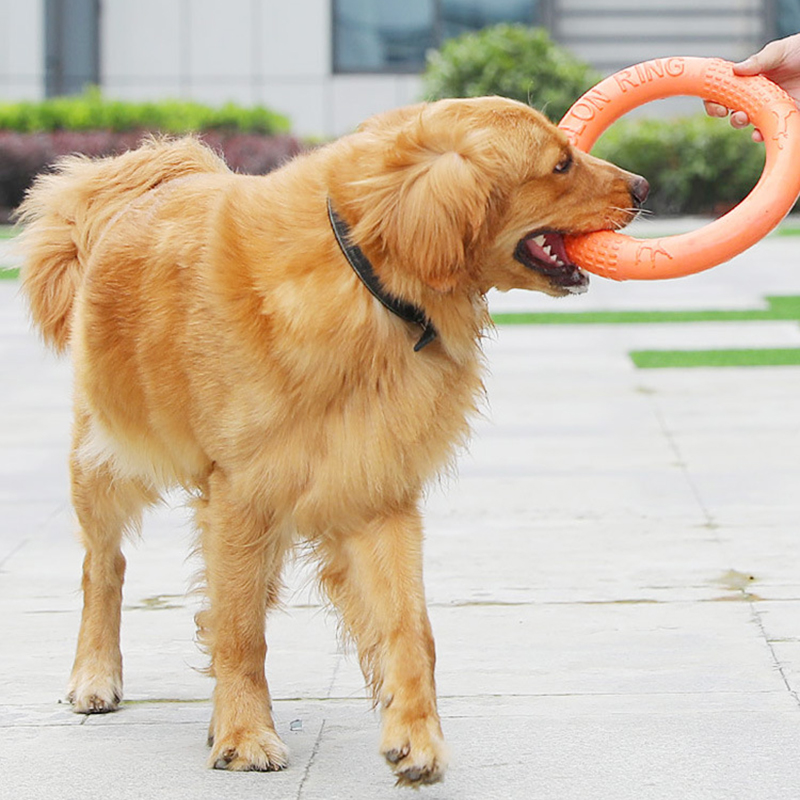 1 ، ألعاب كلاب برتقالية اللون  - مراجعة Indestructible Dog Chew Toy وسعره