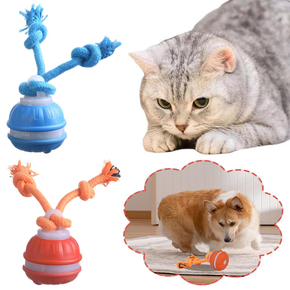 الذكية قابلة للشحن الكلب الكرة - مراجعة Automatic Moving Dog Ball وسعره