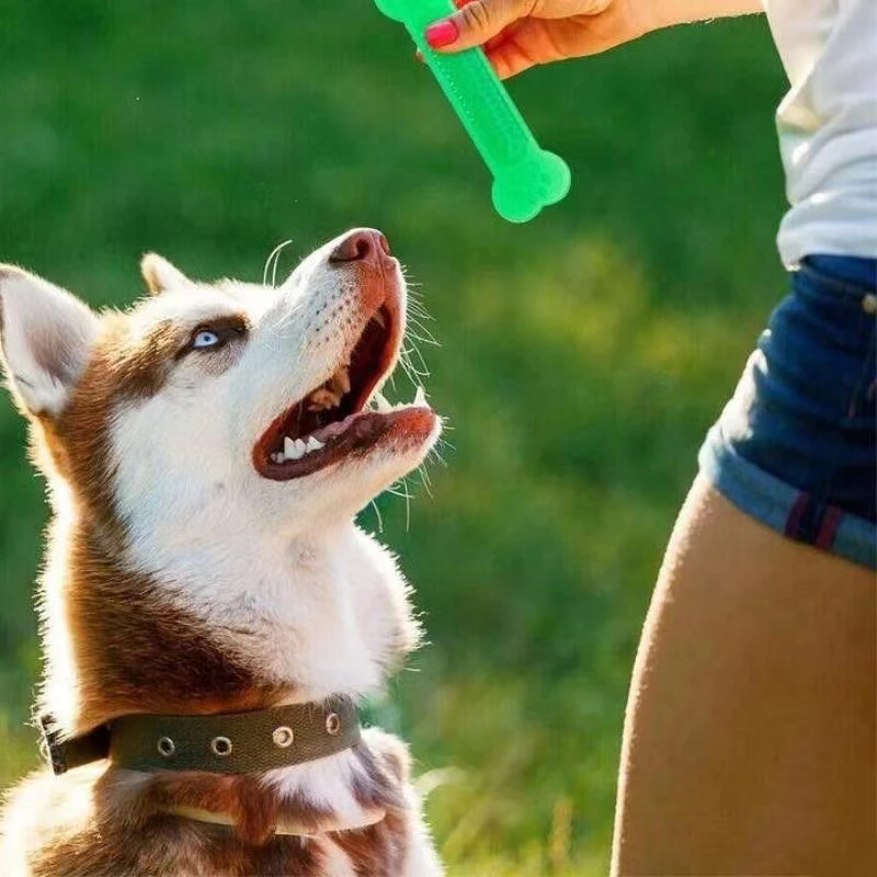 سوبر صعبة الكلب العظام مضغ لعب - مراجعة Teeth Cleaning Dog Chew Bone وسعره