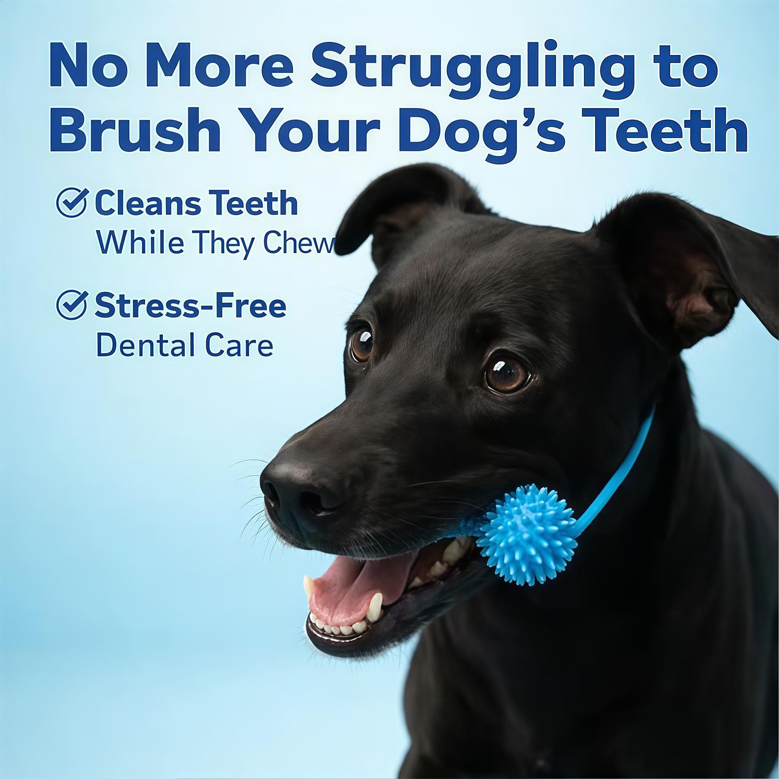 ألعاب تنظيف أسنان الكلاب، أعوا - مراجعة Rubber Treat Dispensing Dog Toy وسعره