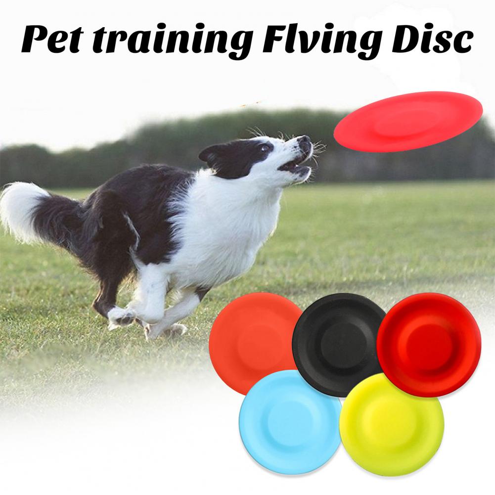 لعبة قرص طائر للكلاب ، جيل الس - مراجعة Flying Disc Dog Training Toy وسعره
