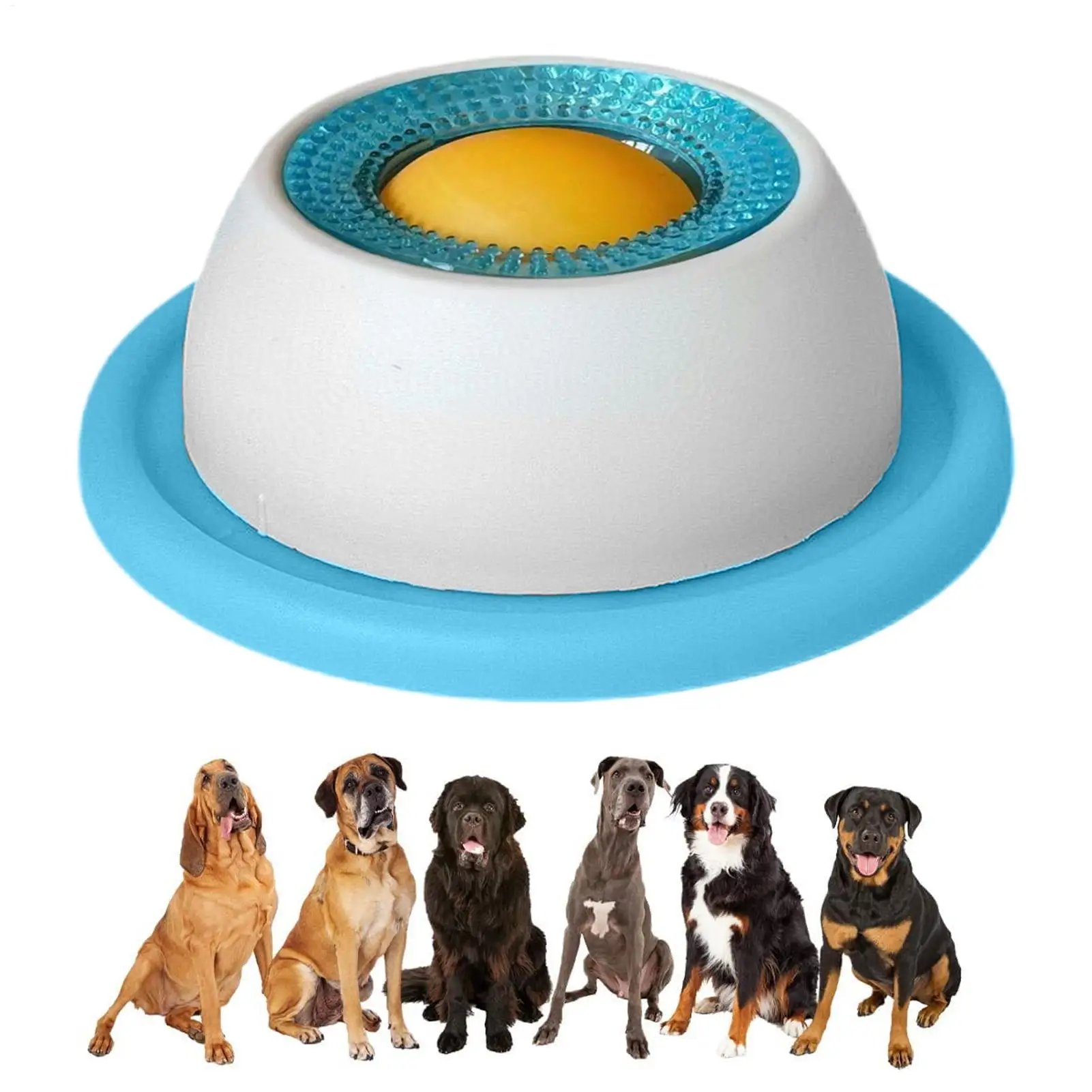 إكسسوارات تغذية الحيوانات الأل - مراجعة Dog Puzzle Feeder Toy وسعره