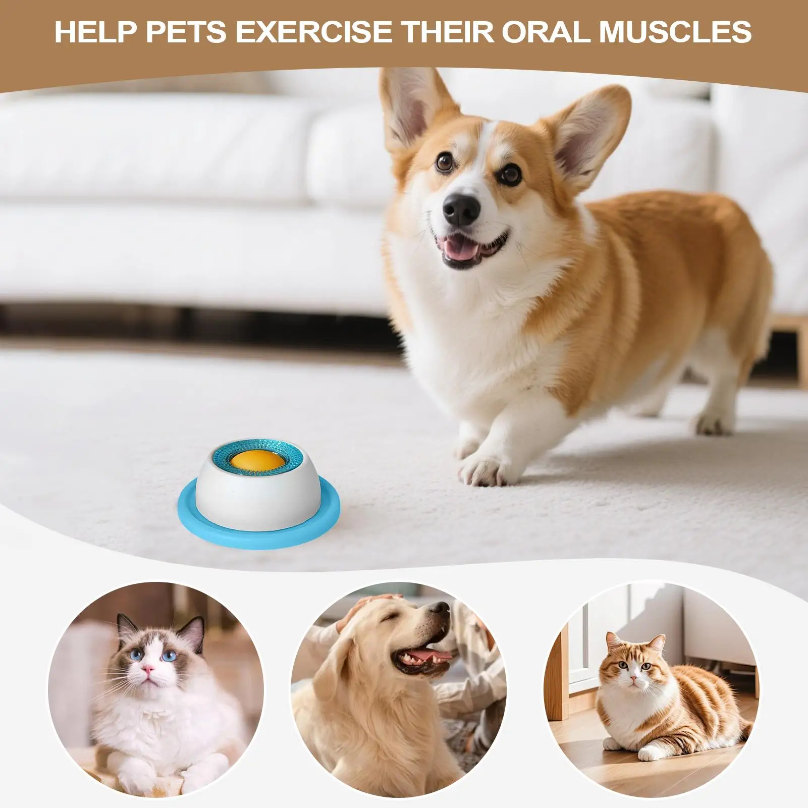 إكسسوارات تغذية الحيوانات الأل - مراجعة Dog Puzzle Feeder Toy وسعره