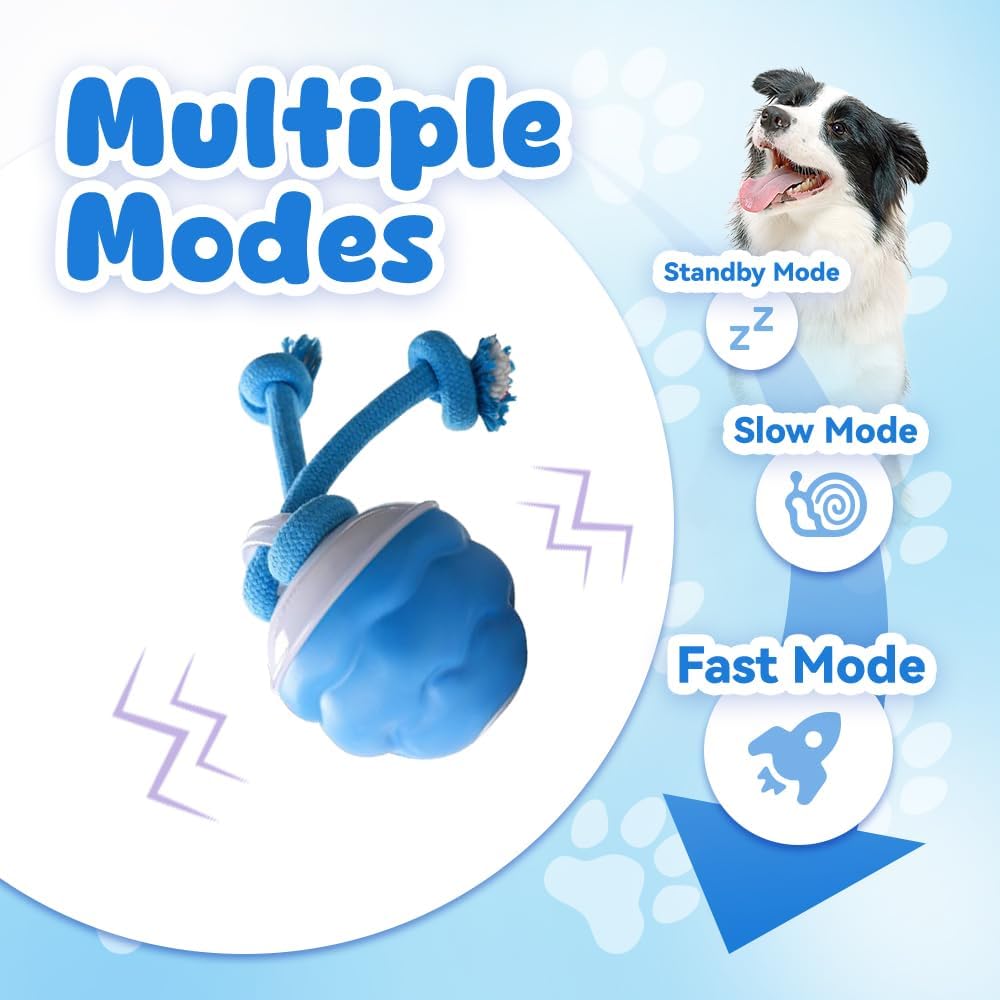 لعبة ذكية للكلاب، كرة متحركة ت - مراجعة Automatic Moving Dog Ball وسعره