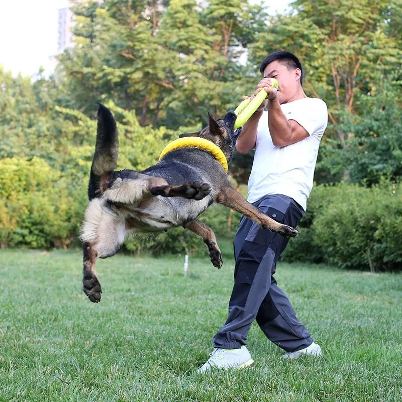 أقراص تحلق إيفا الكلب التدريب  - مراجعة Indestructible Dog Chew Toy وسعره