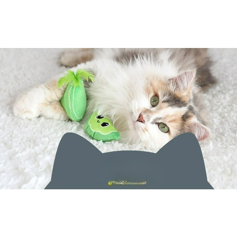 لعبة قطيفة تفاعلية للقطط من ما - مراجعة Catnip Interactive Plush Mouse وسعره