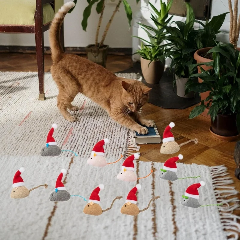1-5 قطع: لعبة فأر قطيفة تفاعلي - مراجعة Catnip Interactive Plush Mouse وسعره