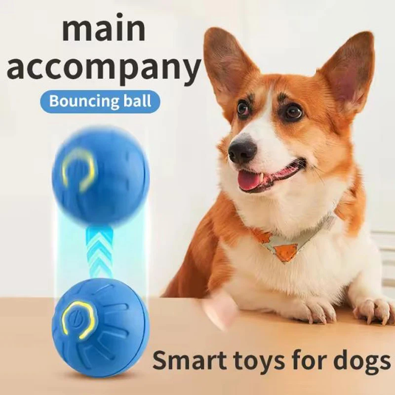 كرة لعبة ذكية تفاعلية للحيوانا - مراجعة Automatic Moving Dog Ball وسعره